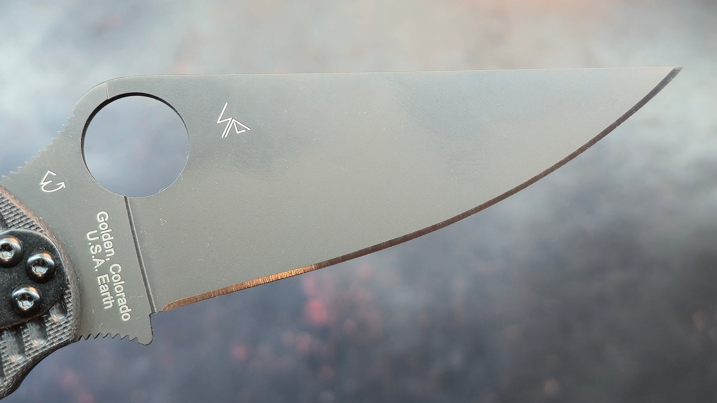 Spyderco Para 2 SALT G-10 Magnacut