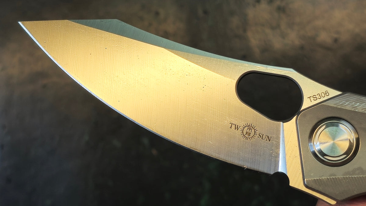 TwoSun TS306 Titanium-Carbon Fiber Handle M390 Blade