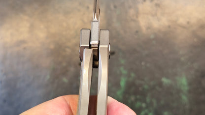 TwoSun TS306 Titanium-Carbon Fiber Handle M390 Blade