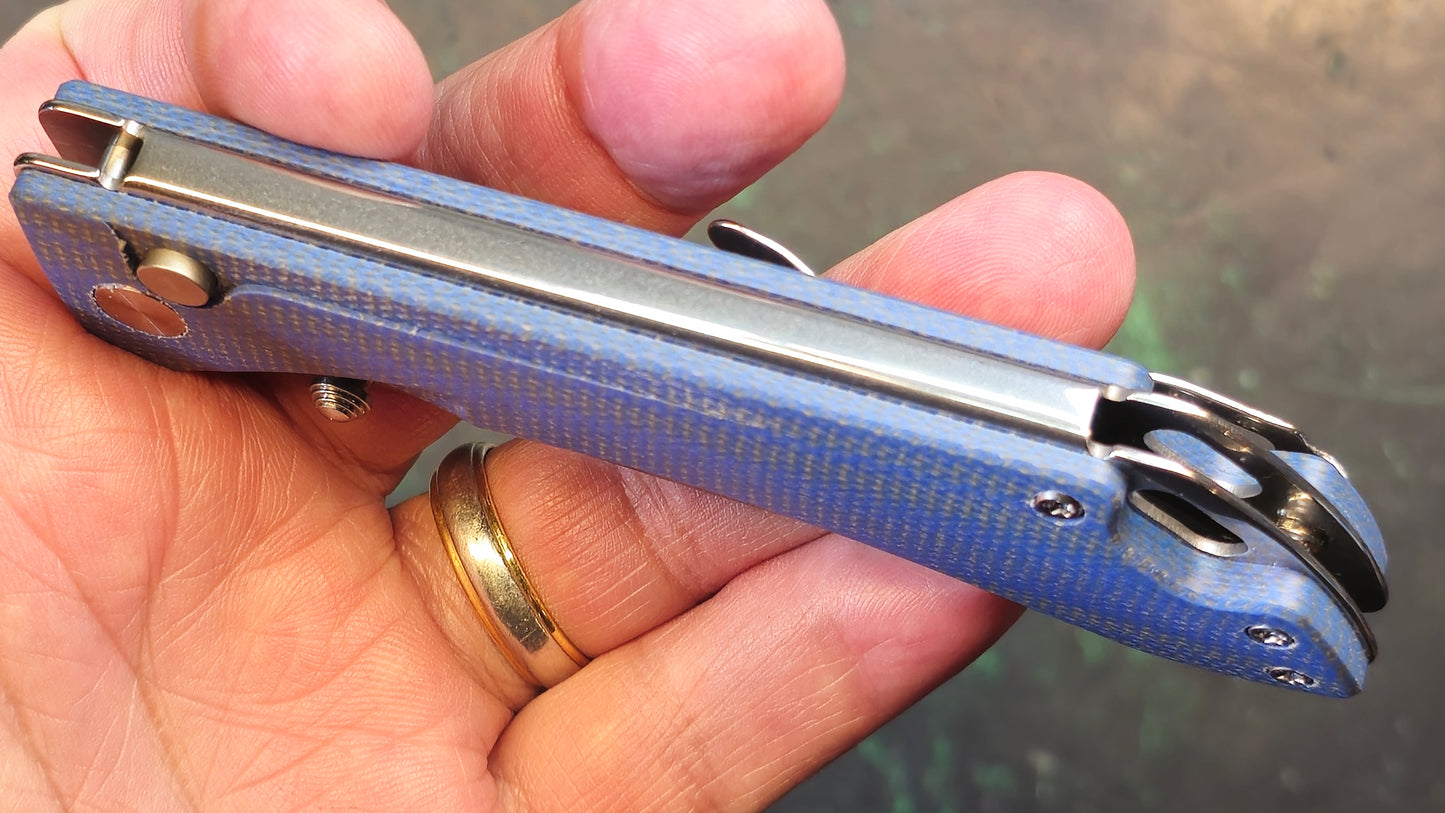 TWOSUN TS495 Blue Micarta Handle 14C28N (NEW)