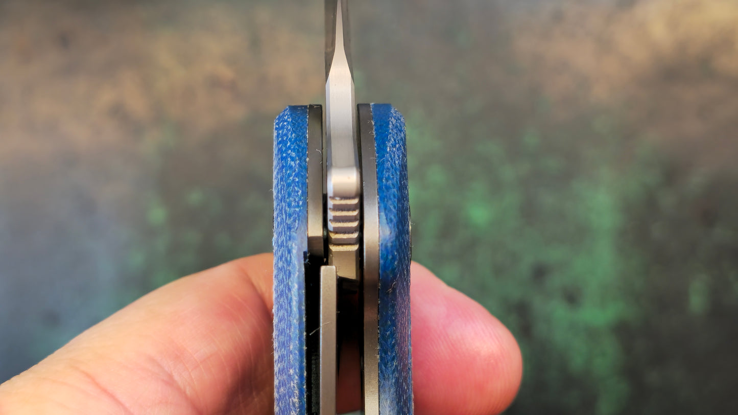 TWOSUN TS504 Blue Micarta Handle D2 (NEW)
