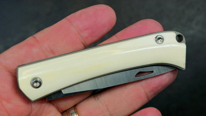 TWOSUN TS161 Slip Joint Titanium Bone M390 (NEW)