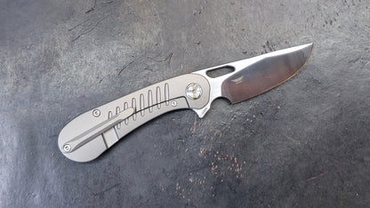 TWOSUN TS134 Titanium M390 (NEW)