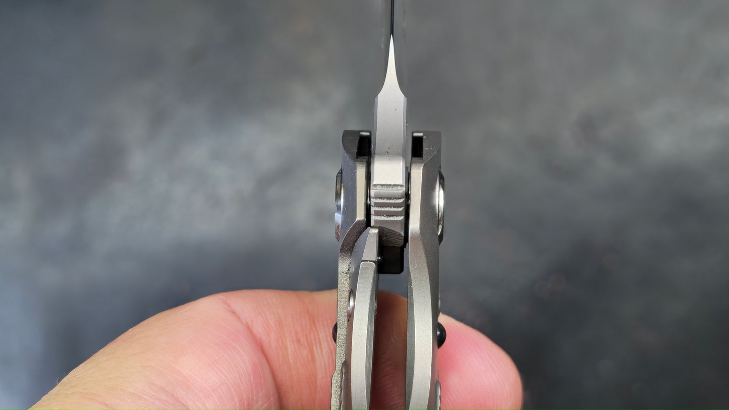 TWOSUN TS102 Titanium N690 (NEW)