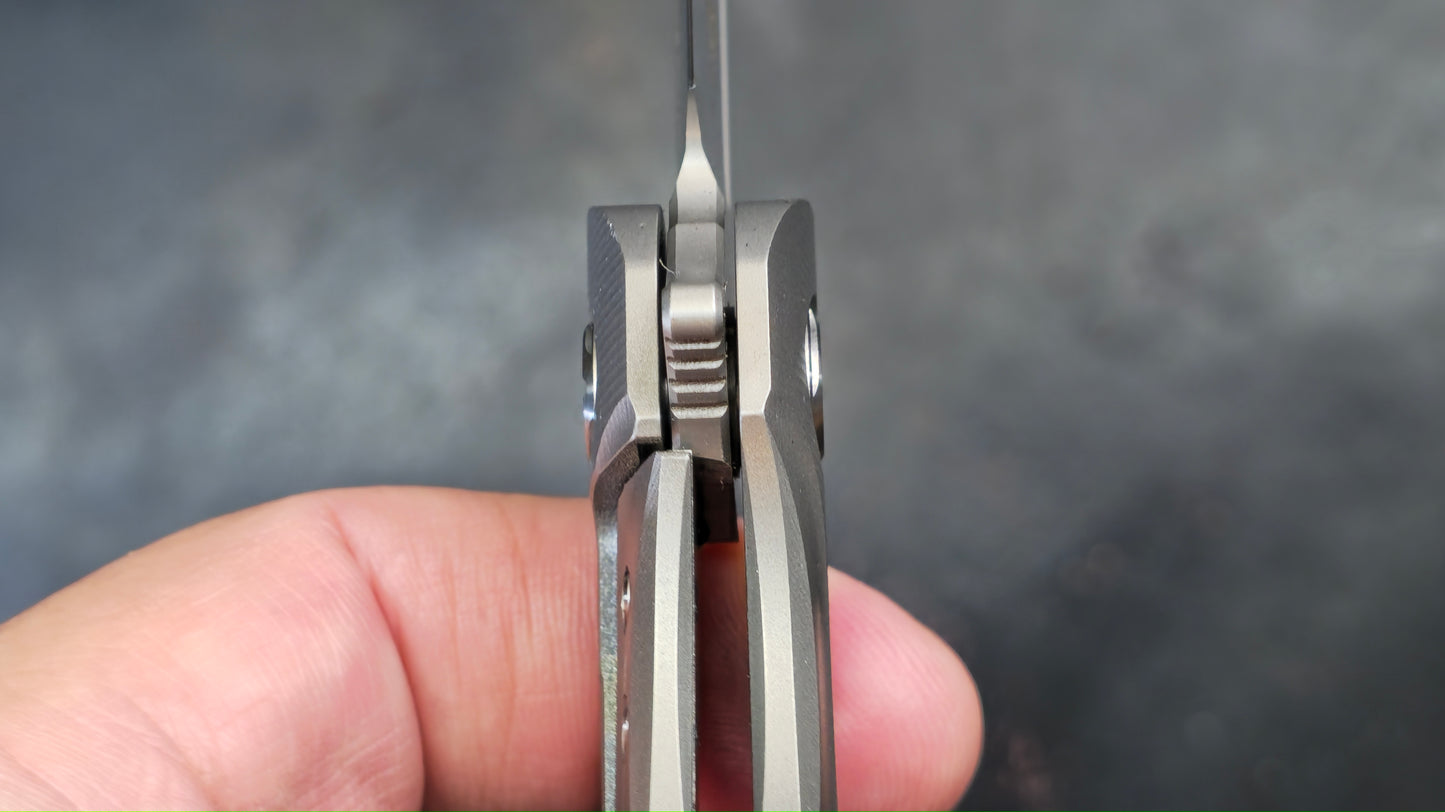 TWOSUN TS166 Titanium M390 (NEW)
