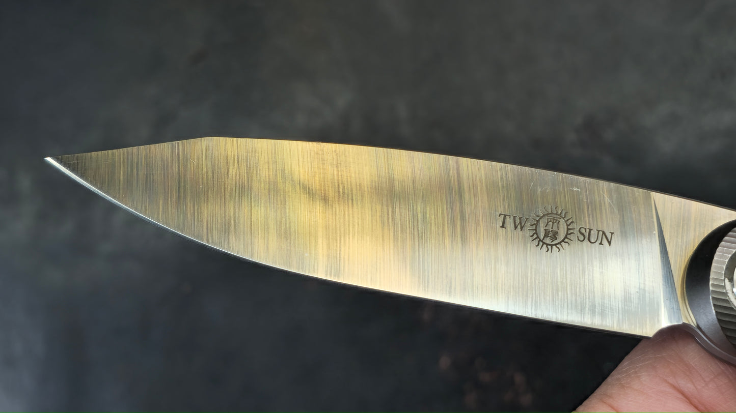 TWOSUN TS169 Titanium M390 (NEW)