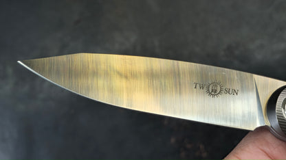 TWOSUN TS169 Titanium M390 (NEW)