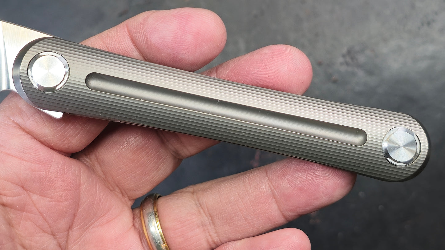 TWOSUN TS169 Titanium M390 (NEW)
