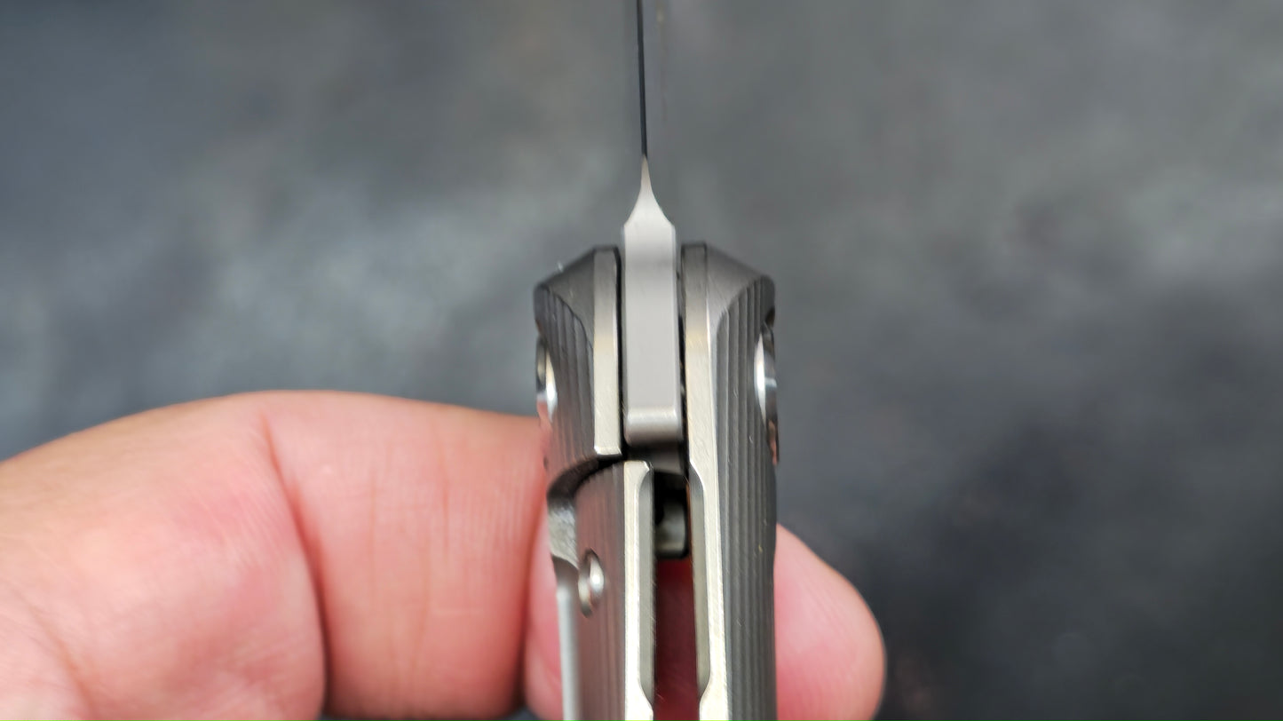 TWOSUN TS169 Titanium M390 (NEW)