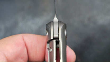 TWOSUN TS169 Titanium M390 (NEW)
