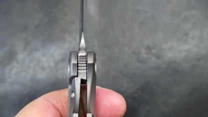 TWOSUN TS209 Titanium Micarta G10 D2 (NEW)