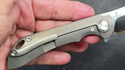 TWOSUN TS224 Carbon Fiber Titanium M390 (NEW)
