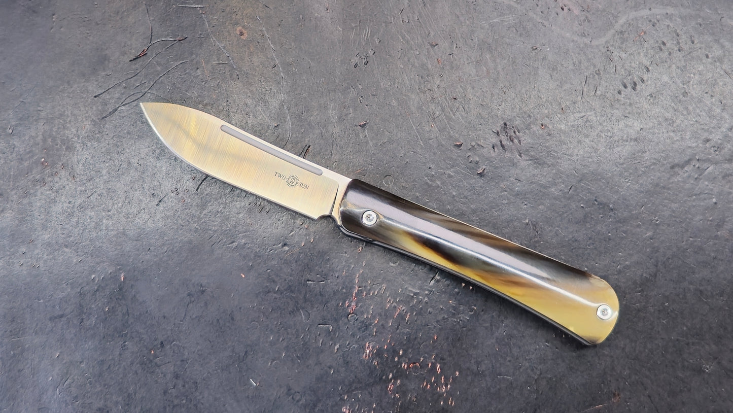 TWOSUN TS197 Slip Joint Titanium / Bone M390 (NEW)