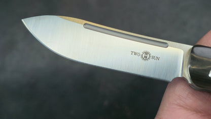 TWOSUN TS197 Slip Joint Titanium / Bone M390 (NEW)
