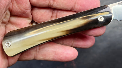 TWOSUN TS197 Slip Joint Titanium / Bone M390 (NEW)