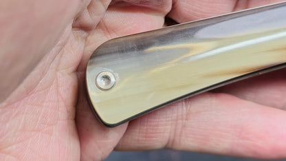 TWOSUN TS197 Slip Joint Titanium / Bone M390 (NEW)