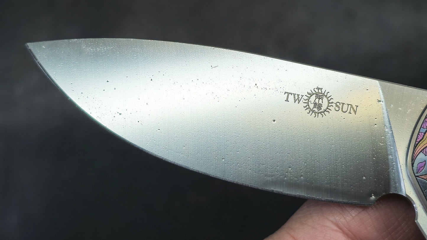 TWOSUN TS223 ENGRAVED Titanium M390 (NEW)