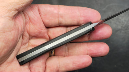 TWOSUN TS580 Fixed Blade Carbon Fiber M390 (NEW)