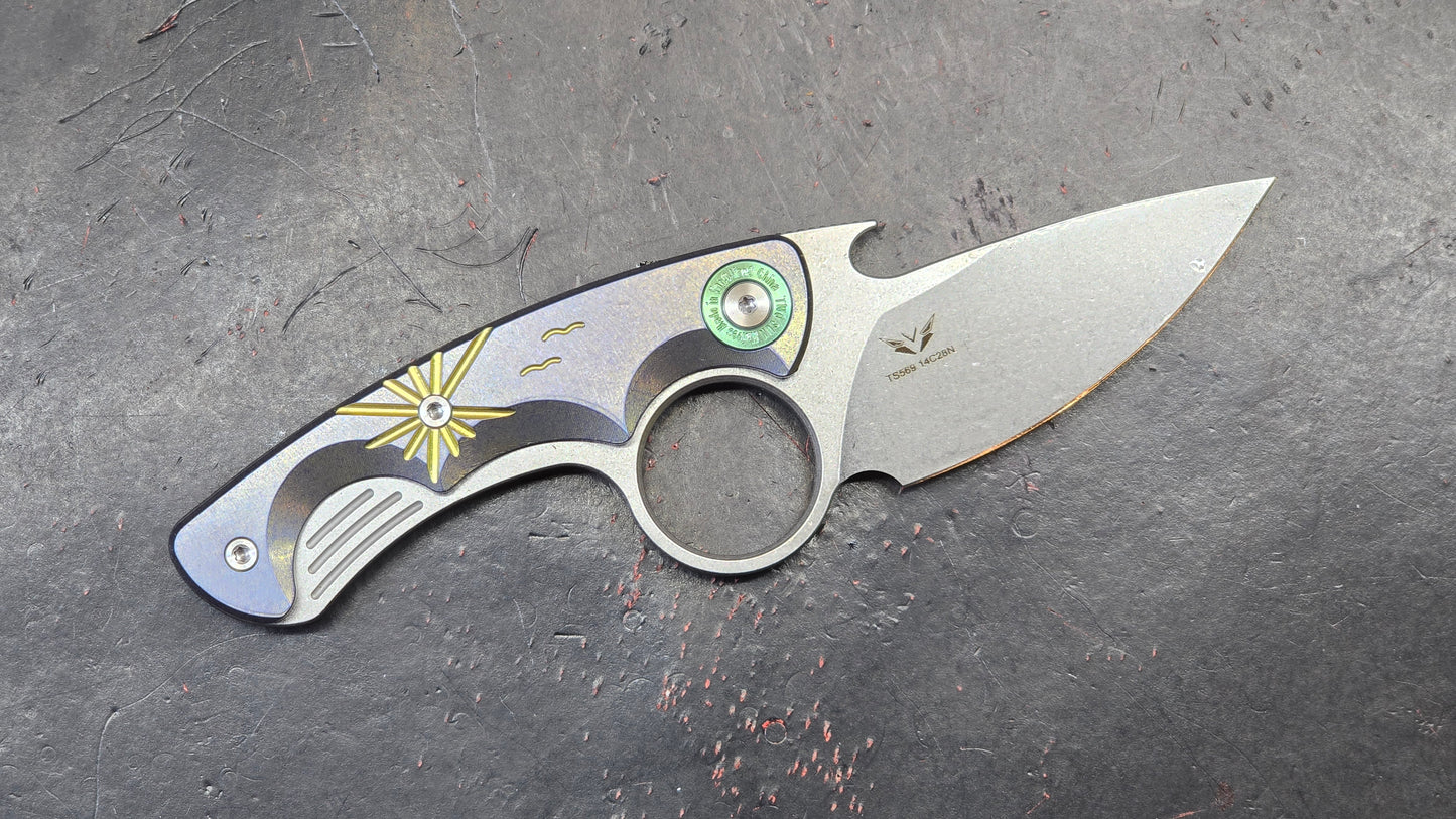 TWOSUN TS569 Fixed Blade Titanium 14C28N (NEW)