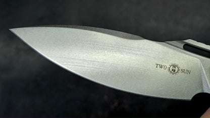 TWOSUN TS162 Titanium Carbon Fiber M390 (NEW)