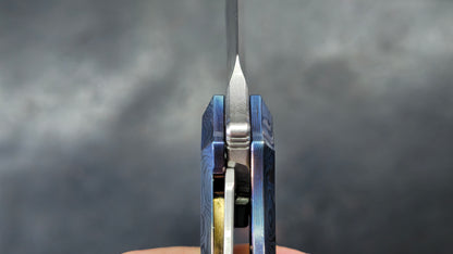 TWOSUN TS194 Timascus TITANIUM DAMASCUS HANDLE M390 (NEW)