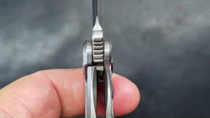 TWOSUN TS72 (SQUARE) Titanium M390 (NEW)