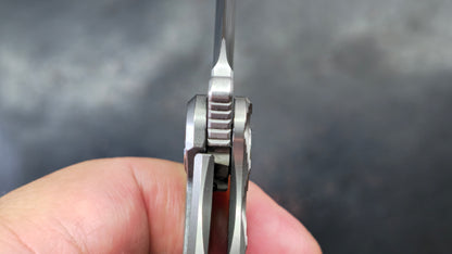TWOSUN TS72 (ROUND) Titanium M390 (NEW)