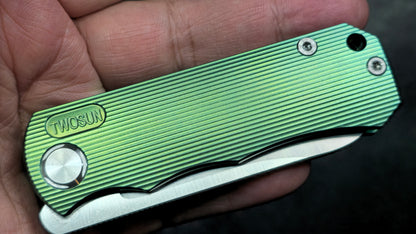 TwoSun  TS349 Green Titanium Handle M390 (NEW)