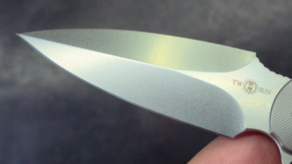 TWOSUN TS248 Titanium Handle M390 Blade (NEW)