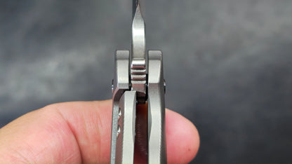 TWOSUN TS248 Titanium Handle M390 Blade (NEW)