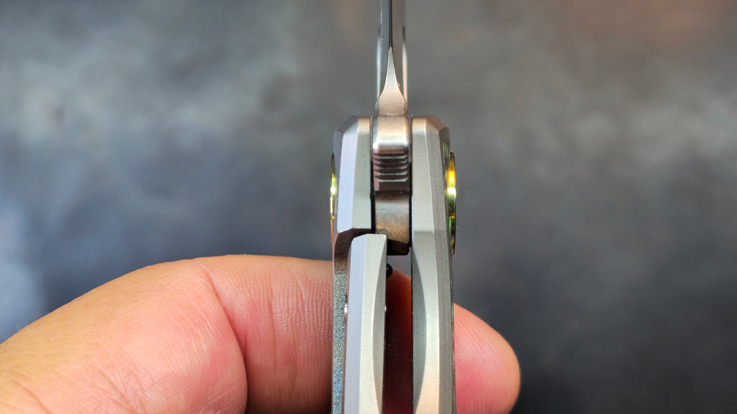 TWOSUN TS502 Titanium Handle with Carbon Fiber Inlay M390 Blade (NEW)