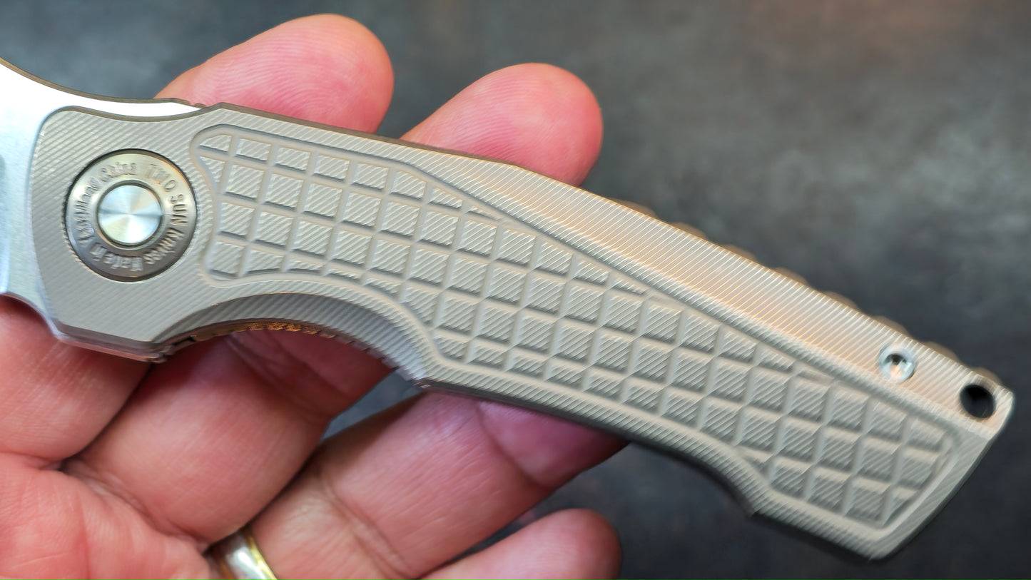 TwoSun TS559 Gray Titanium Handle 14C28N Blade (NEW)