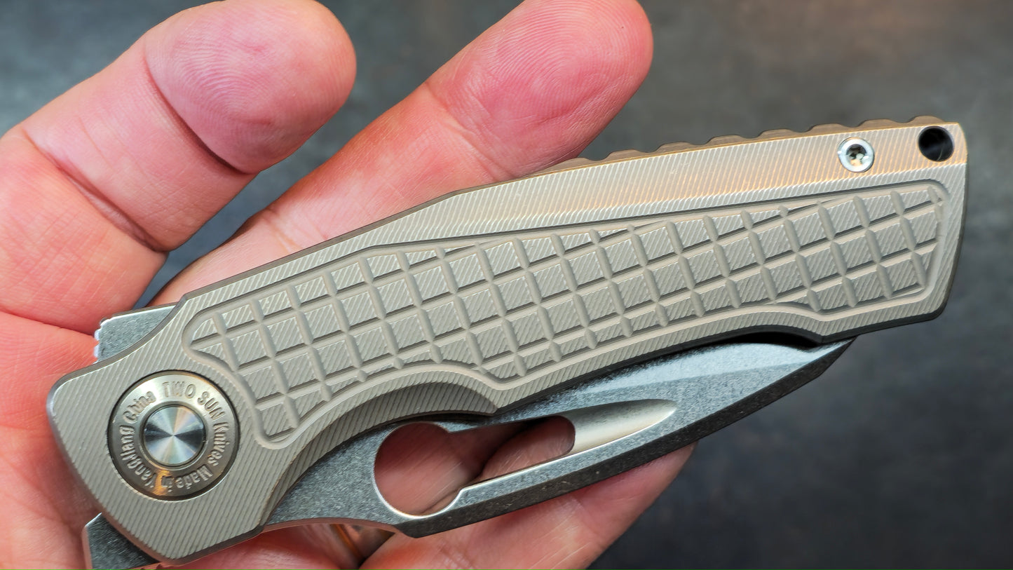 TwoSun TS559 Gray Titanium Handle 14C28N Blade (NEW)