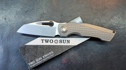 TwoSun TS559 Gray Titanium Handle 14C28N Blade (NEW)
