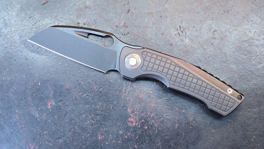 TwoSun TS559 Black Titanium Handle 14C28N Blade (NEW)