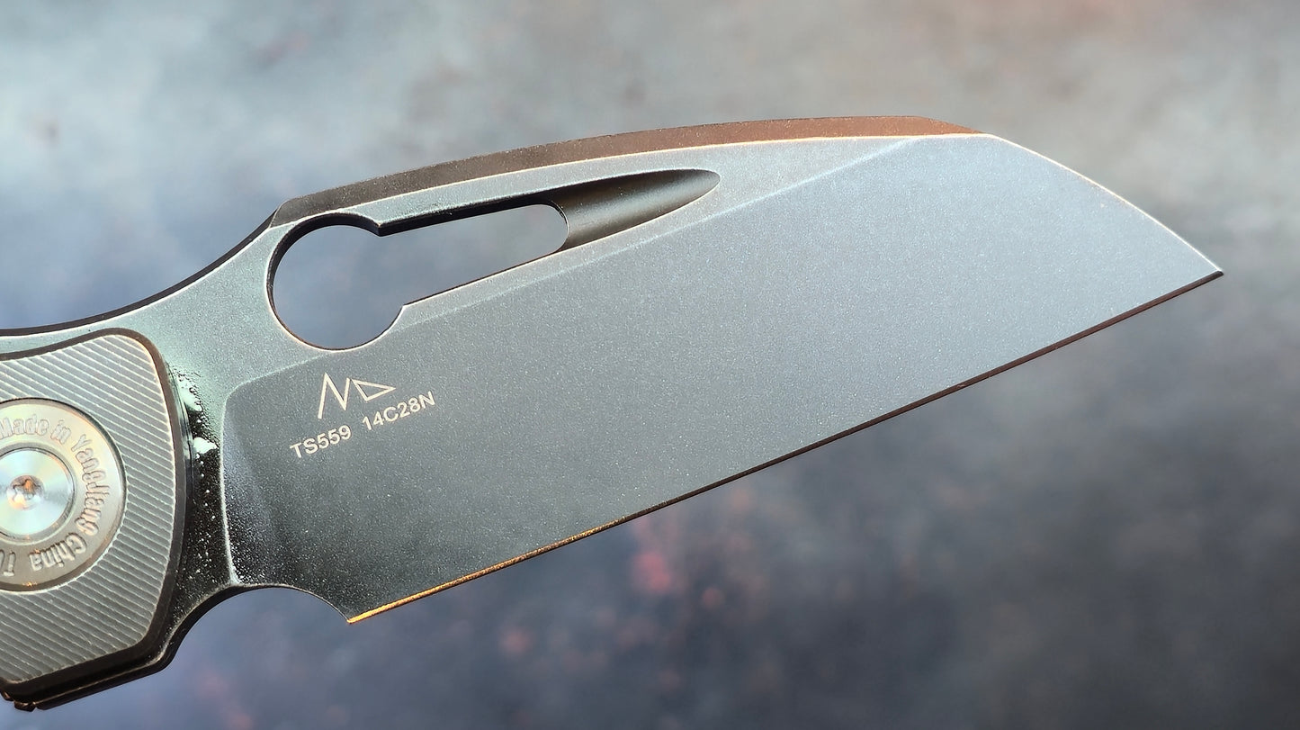 TwoSun TS559 Black Titanium Handle 14C28N Blade (NEW)