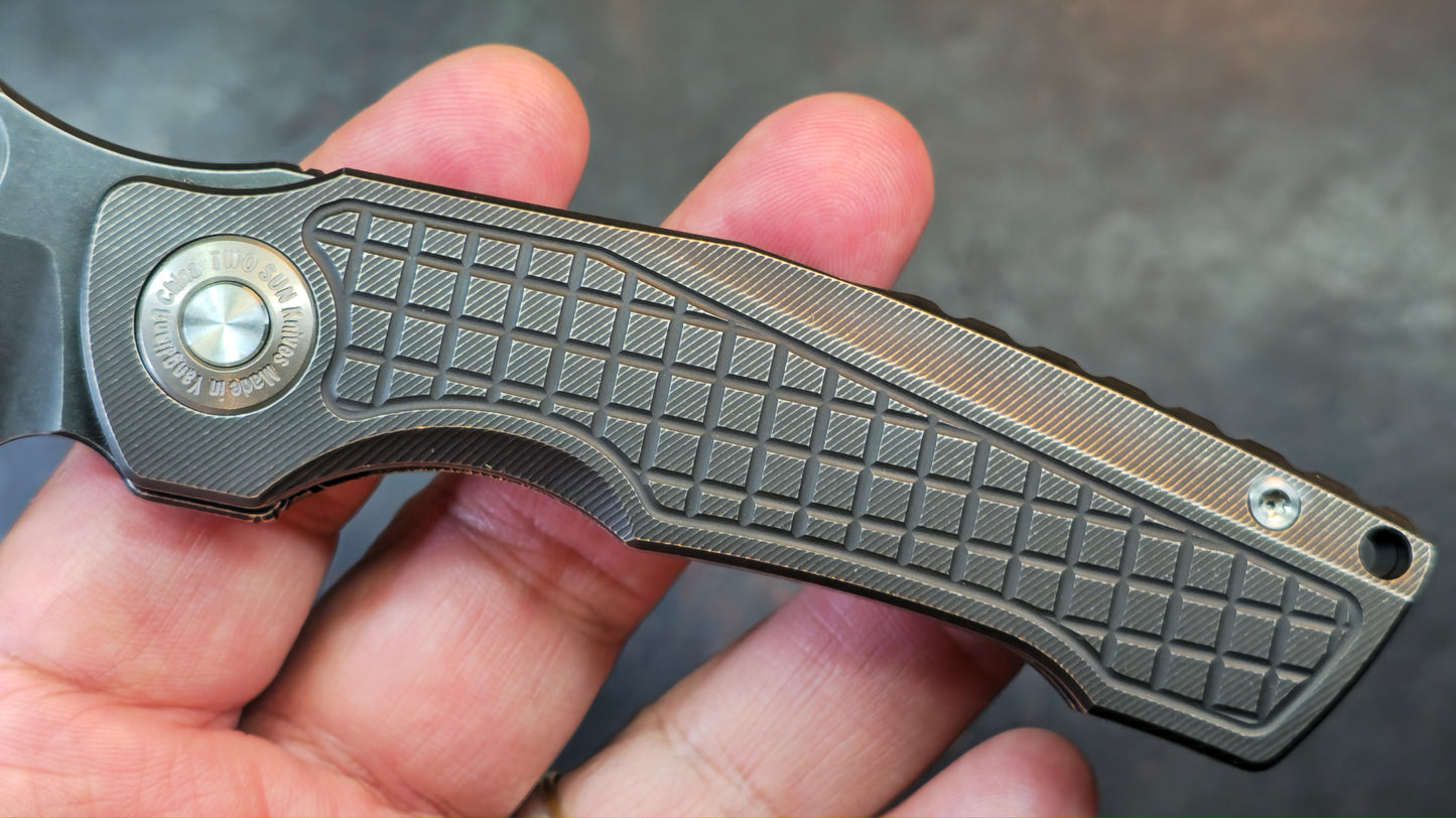 TwoSun TS559 Black Titanium Handle 14C28N Blade (NEW)
