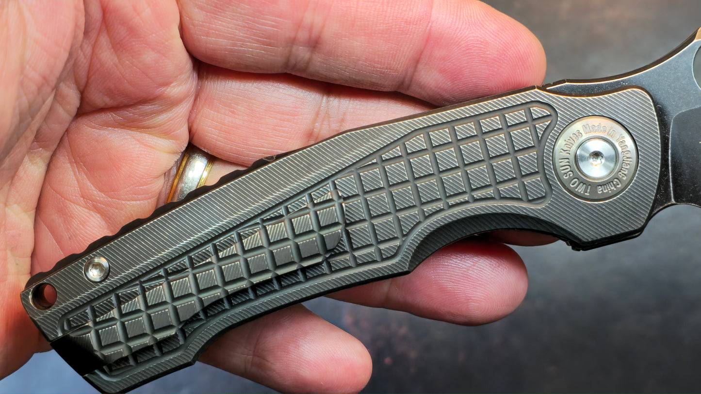 TwoSun TS559 Black Titanium Handle 14C28N Blade (NEW)