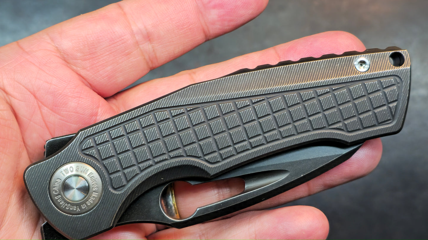 TwoSun TS559 Black Titanium Handle 14C28N Blade (NEW)