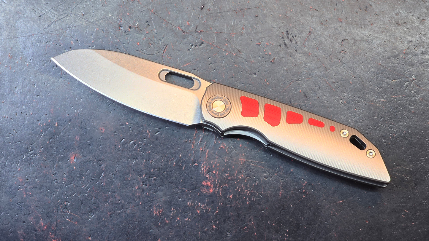 TwoSun TS415 Titanium G10 Handle D2 (NEW)