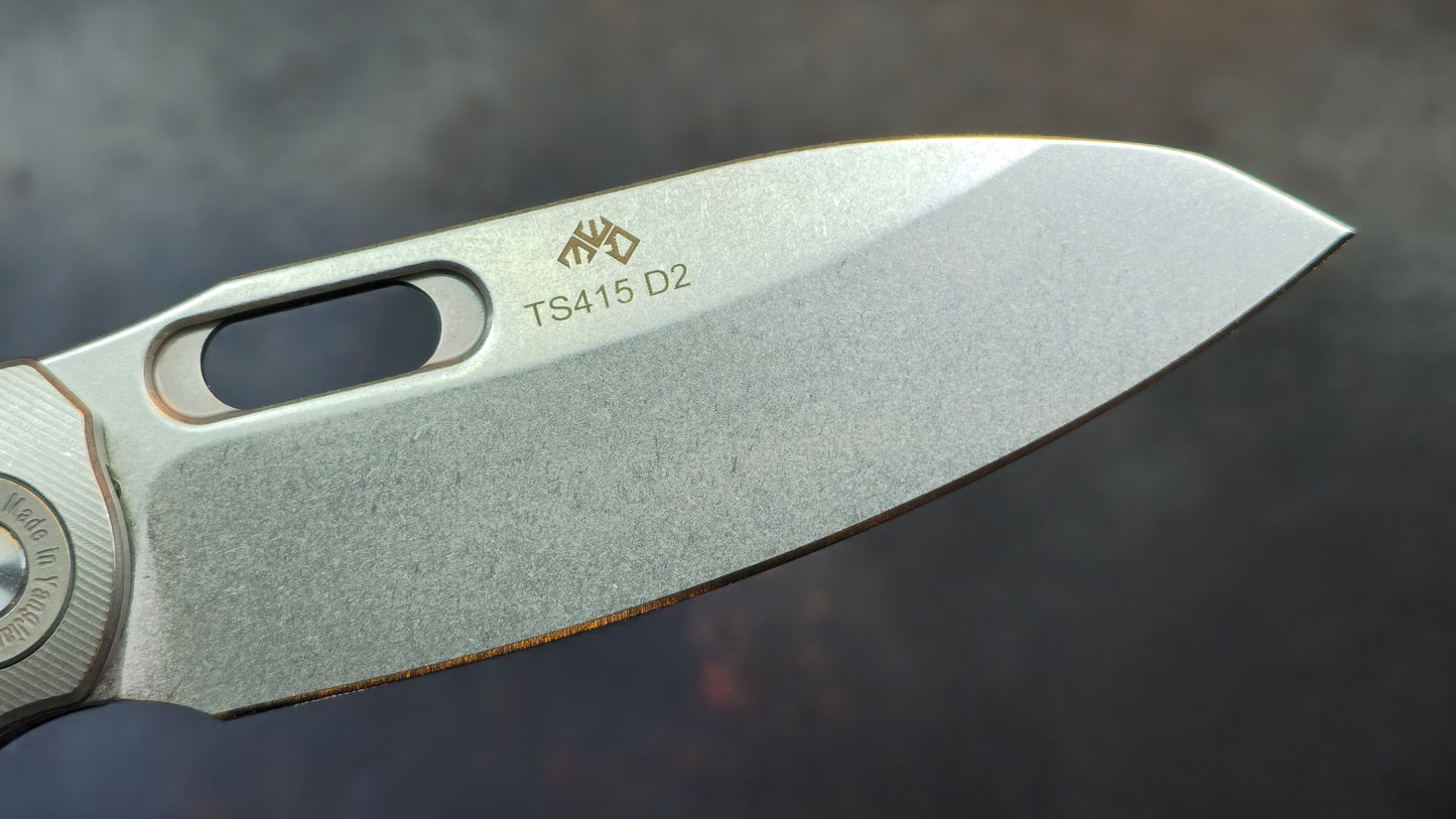 TwoSun TS415 Titanium G10 Handle D2 (NEW)