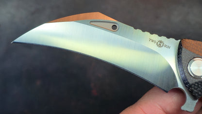 TwoSun TS202 Black Micarta 14C28N (NEW)