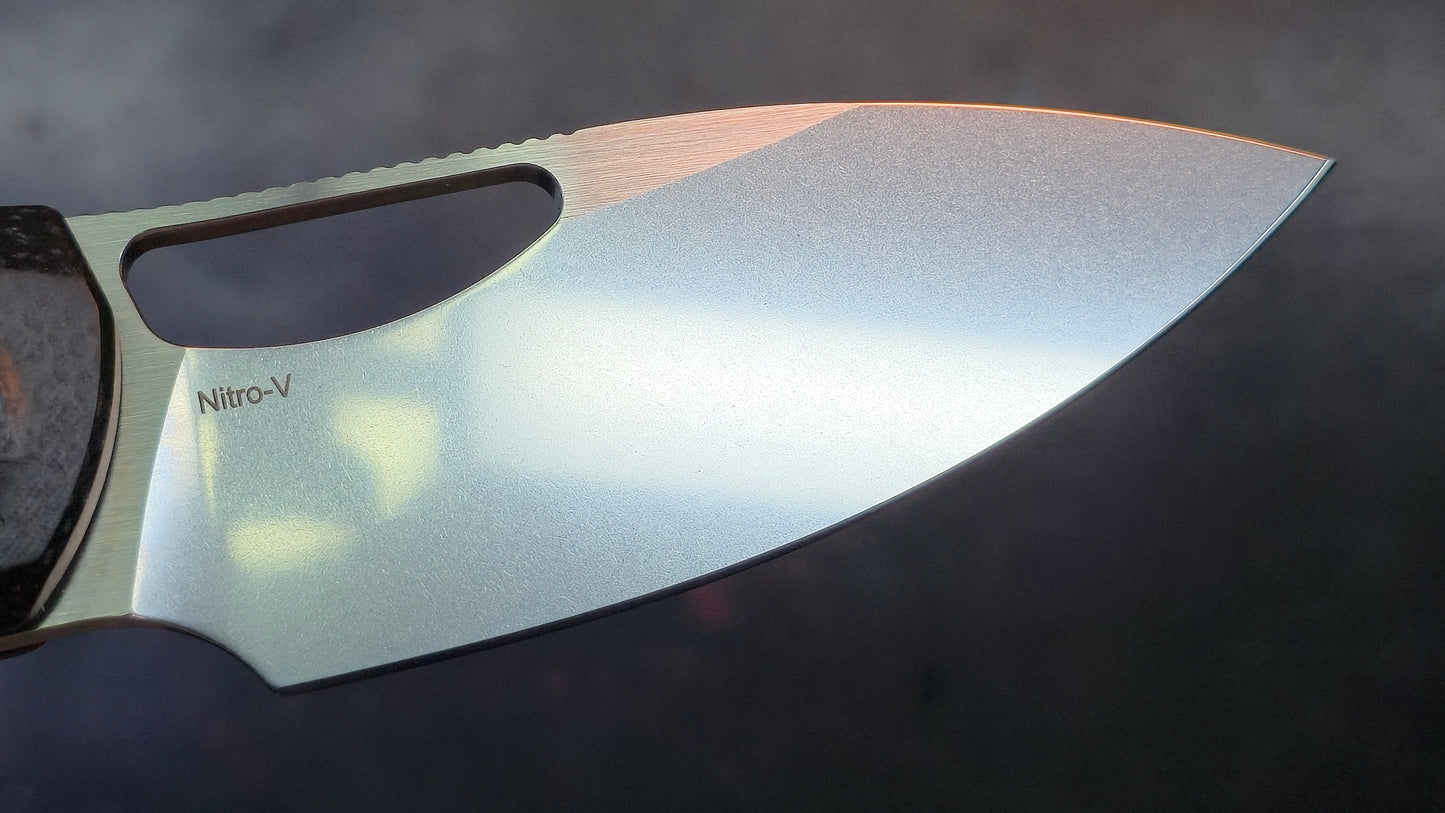 Reate PL-XE Folding Knife Black Micarta Handle Nitro-V