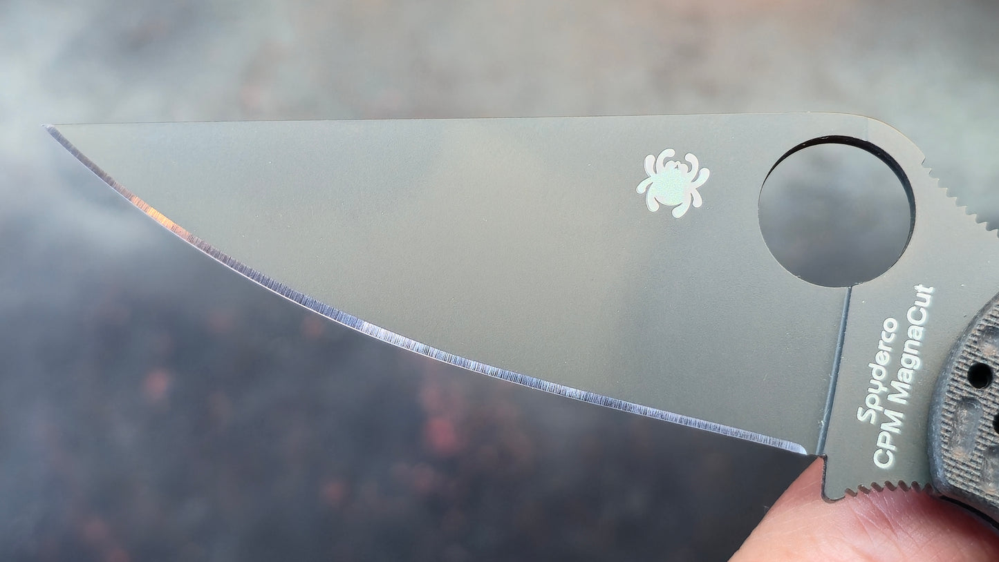 Spyderco Para 2 SALT G-10 Magnacut