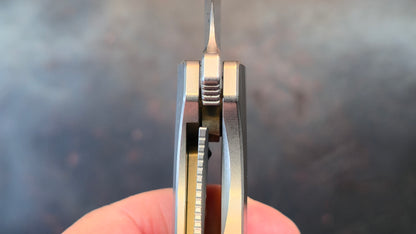 TWOSUN TS490 TITANIUM HANDLE 14C28N Blade