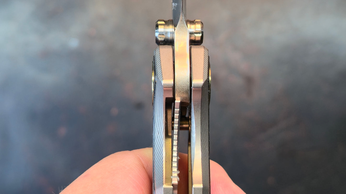 TwoSun TS560 Titanium/CF Handle M390 Blade