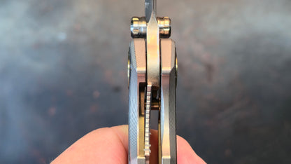 TwoSun TS560 Titanium/CF Handle M390 Blade