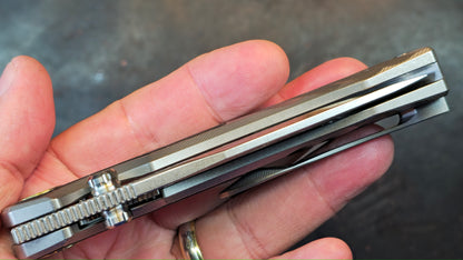 TwoSun TS560 Titanium/CF Handle M390 Blade