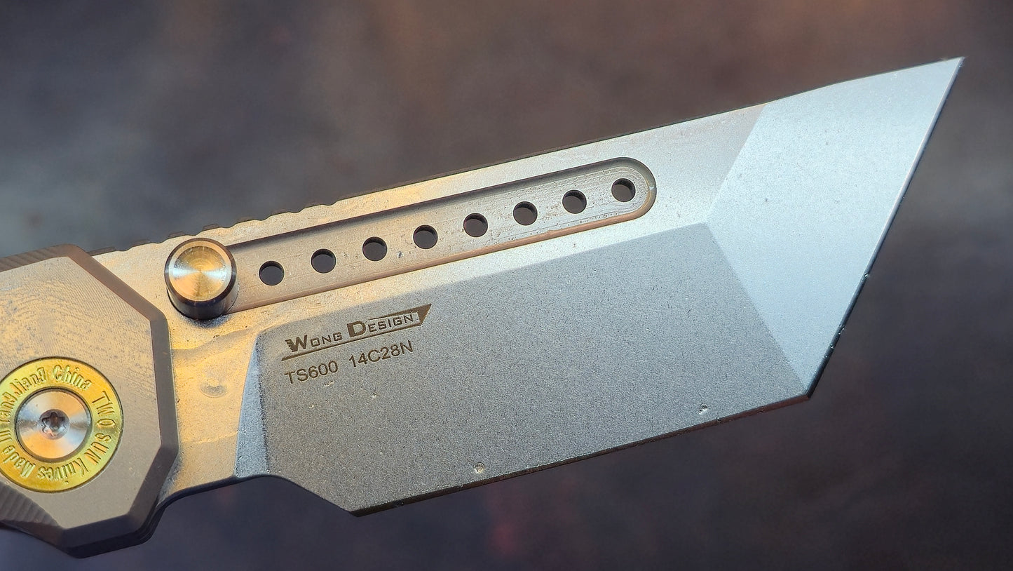 TWOSUN TS600 TITANIUM/CARBON FIBER HANDLE 14C28N Blade