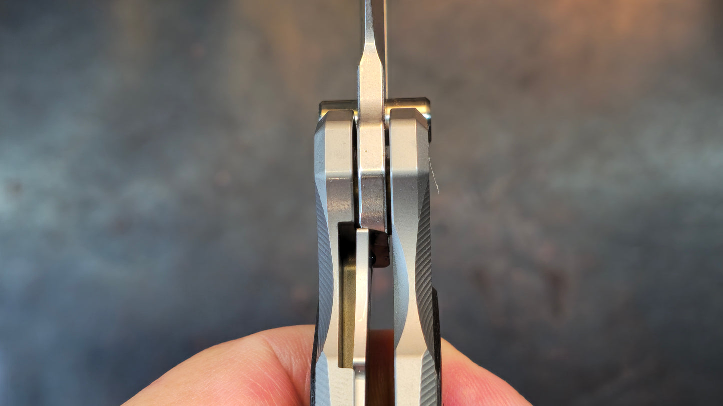 TWOSUN TS600 TITANIUM/CARBON FIBER HANDLE 14C28N Blade